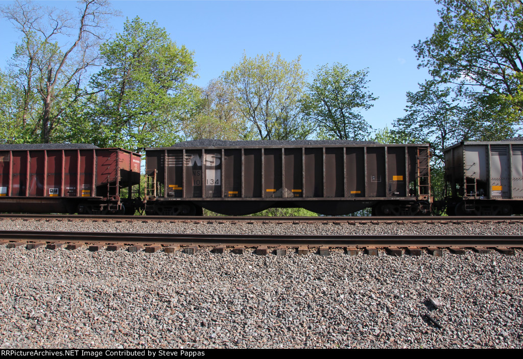 NS 10134